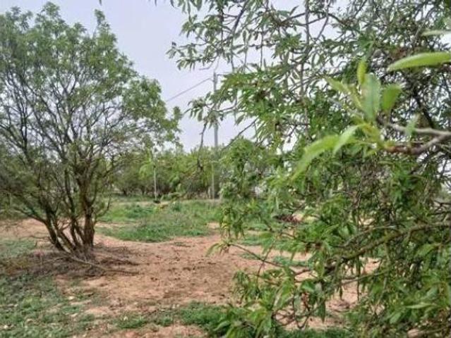 Terreno en venta en Villamalea, Albacete