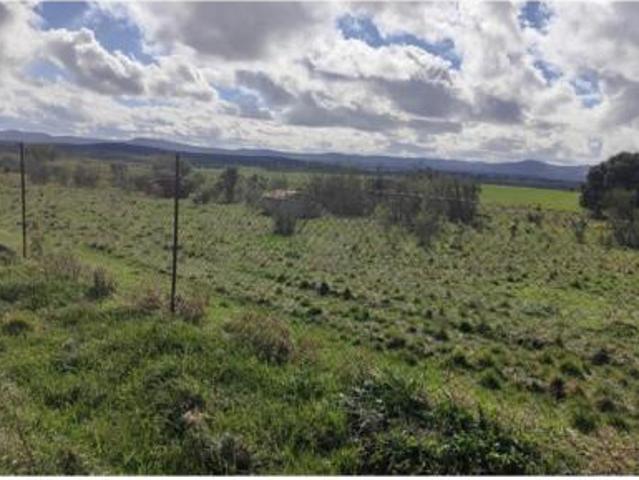 Terreno en venta en Villamayor de Calatrava, Ciudad Real
