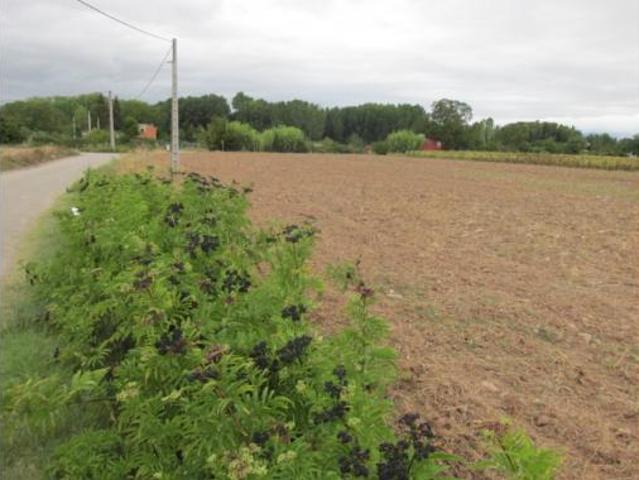 Terreno en venta en Villamediana de Iregua