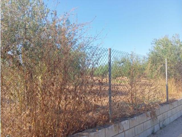 Terreno en venta en Barriada Loreto, Villanueva del Ariscal