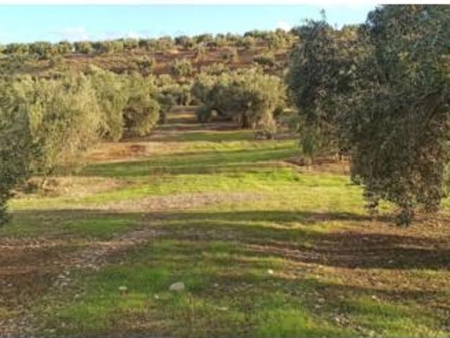 Terreno en venta en Villargordo, Villatorres