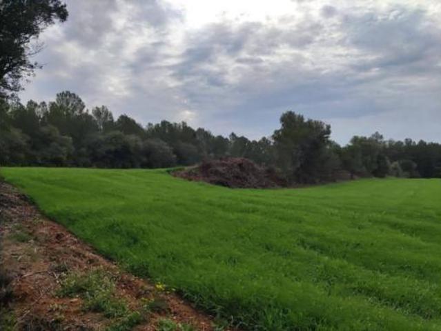Terreno en venta en Vilopriu