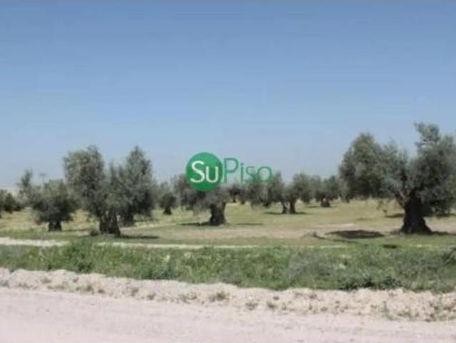 Terreno en venta en Camino de Yuncos, Yeles