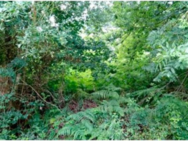 Terreno en venta en Zamudio, Bizkaia