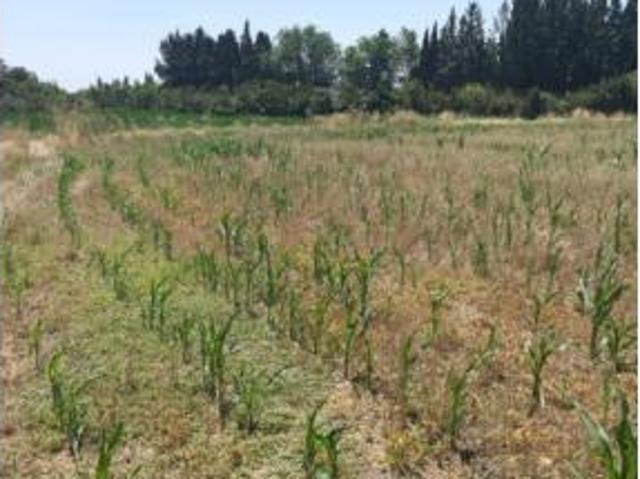 Terreno en venta en Distrito Rural, Zaragoza