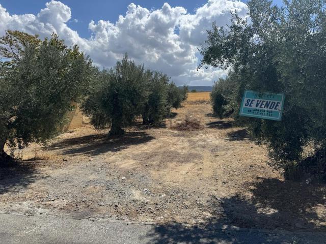 Terreno en venta en Ventas de Huelma, Granada
