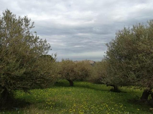 Terreno in vendita a Termini Imerese, Sicilia