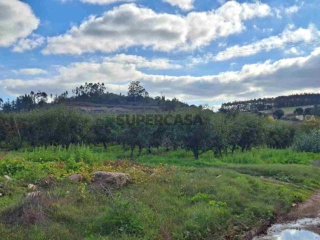 Terreno venda em Cadaval, Vermelha