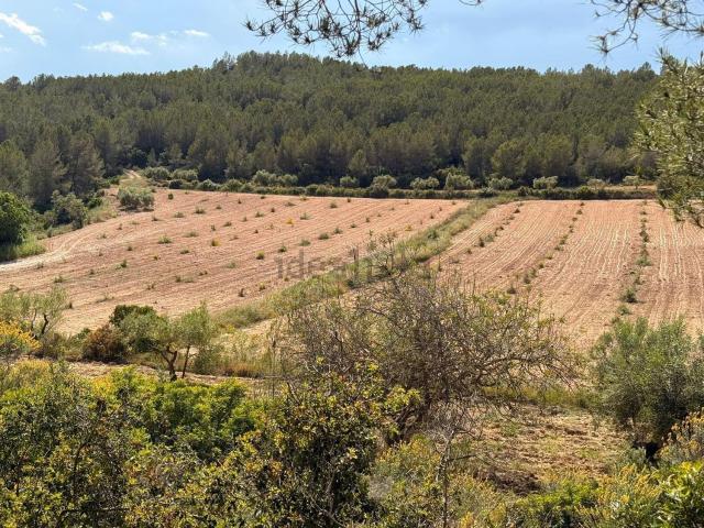 Terreno en venta en Tarragonès, Catalunya