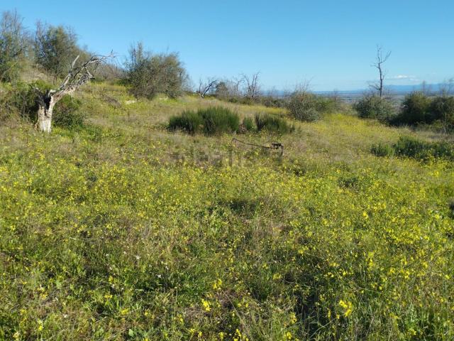 Terreno en venta en Viandar De La Vera, Extremadura