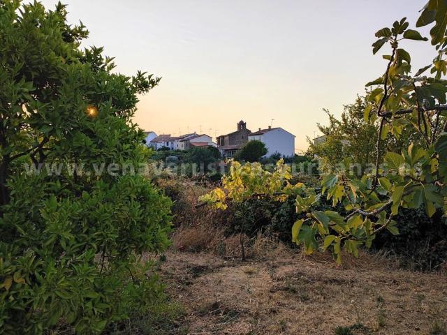 Terreno en venta en Viandar De La Vera, Extremadura