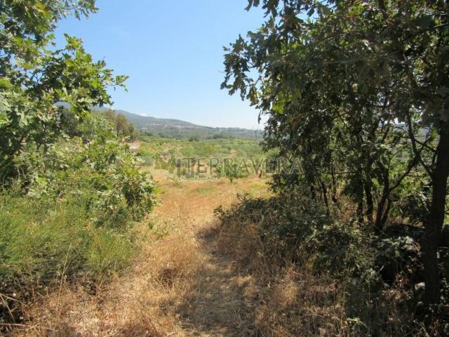 Terreno en venta en Viandar De La Vera, Extremadura