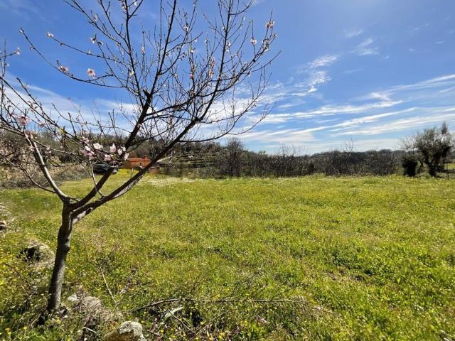 Terreno en venta en Talaveruela De La Vera, Extremadura