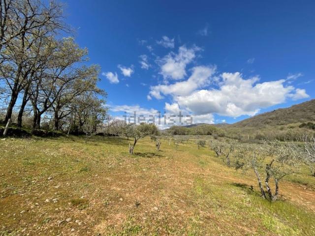 Terreno en venta en Viandar De La Vera, Extremadura