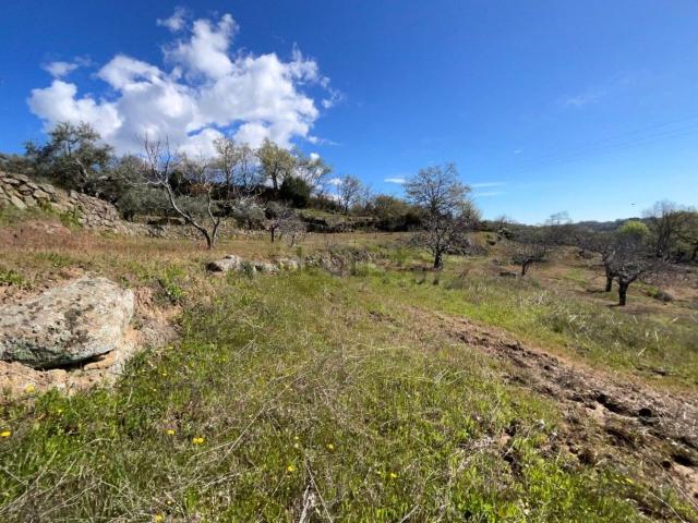 Terreno en venta en Viandar De La Vera, Extremadura