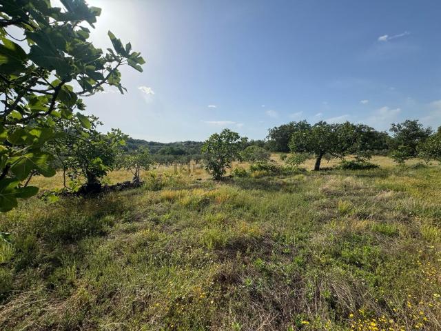Terreno en venta en Viandar De La Vera, Extremadura