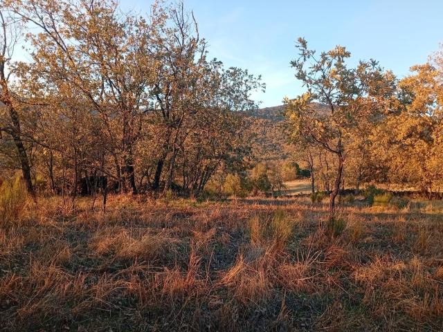 Terreno en venta en Viandar De La Vera, Extremadura