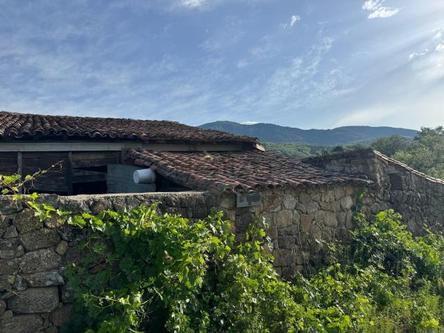 Terreno en venta en Viandar De La Vera, Extremadura