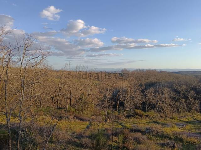 Terreno en venta en Viandar De La Vera, Extremadura