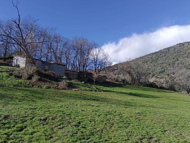 Terreno en venta en Viandar De La Vera, Extremadura