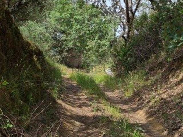Terreno en venta en Losar De La Vera, Extremadura