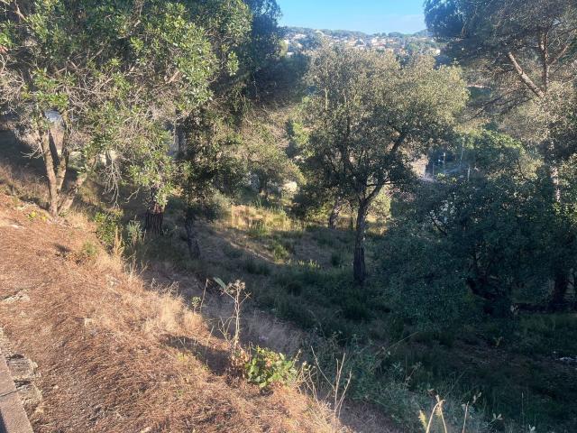 Terreno en venta en la Selva, Catalunya