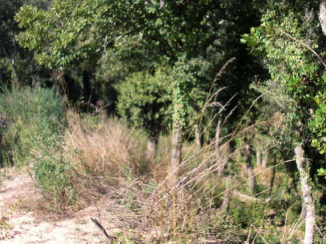 Terreno en venta en Aiguaviva Parc, la Selva