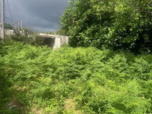 Terreno en venta en Lavadores, Vigo