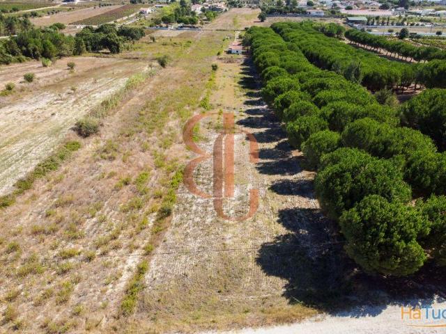 Terreno venda em Cartaxo, Santarém