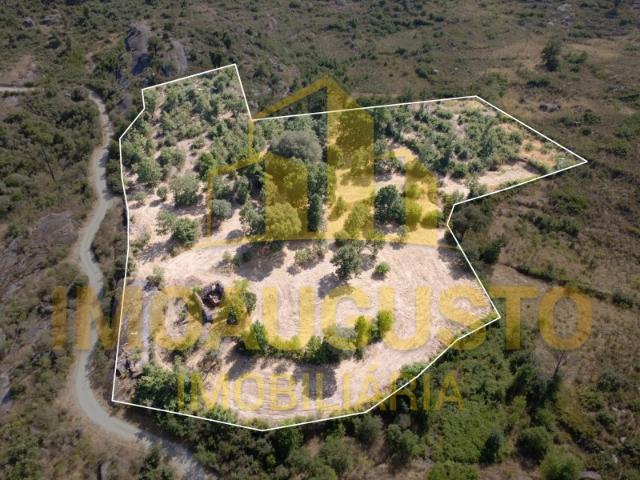 Terreno venda em Guarda