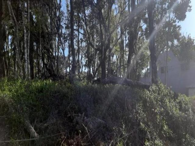 Terreno venda em Região Geográfica Imediata de Caxias do Sul, Nova Petrópolis
