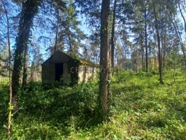 Terreno venda em Caixeira, Montemor-o-velho