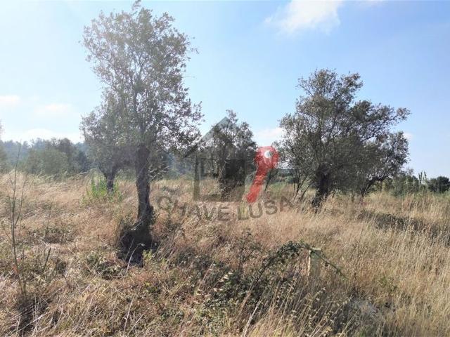 Terreno venda em Atalaia