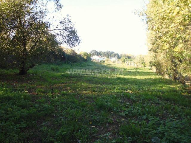 Terreno venda em Oliveira do Douro, Vila Nova De Gaia