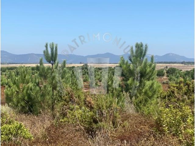 Terreno venda em Odemira, Beja