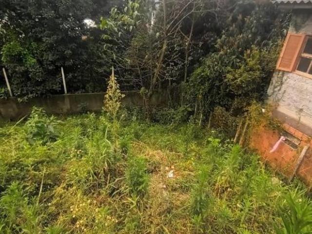 Terreno venda em Novo Hamburgo