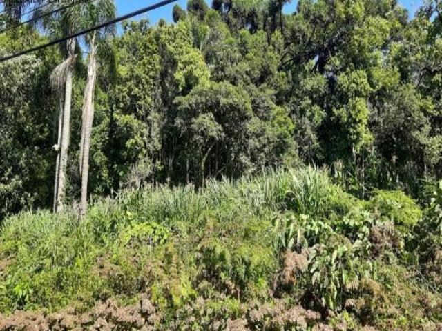 Terreno venda em Nova Petrópolis