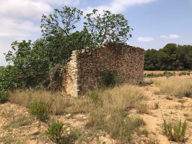 Terreno en venta en Alt Camp, Catalunya
