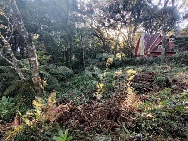 Terreno venda em Canela