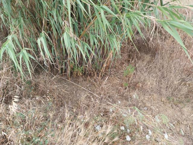 Terreno en venta en Alt Empordà, Catalunya