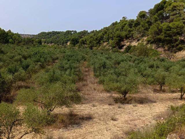 Terreno en venta en Terra Alta, Catalunya