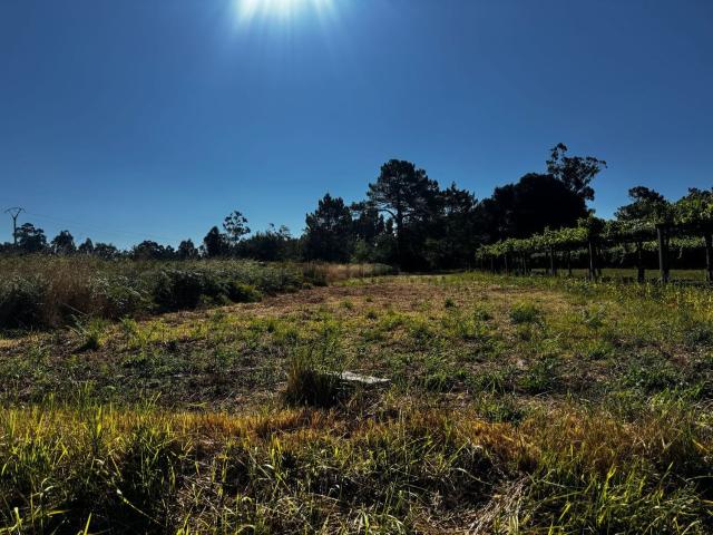 Terreno en venta en O Salnés, Galicia
