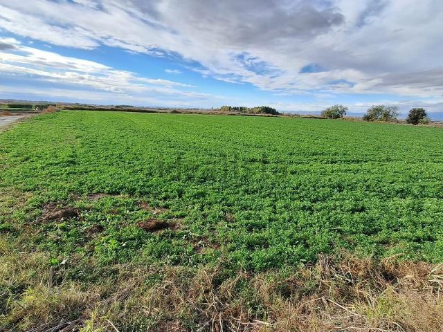 Terreno en venta en Pla d'Urgell, Catalunya