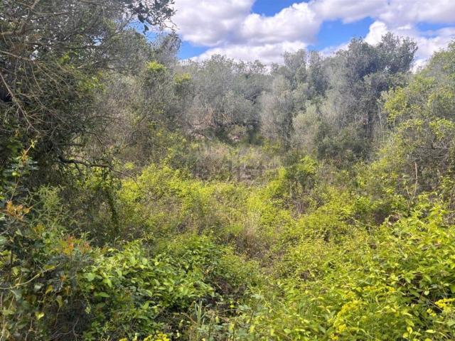 Terreno en venta en el Mas Tapet, Garraf