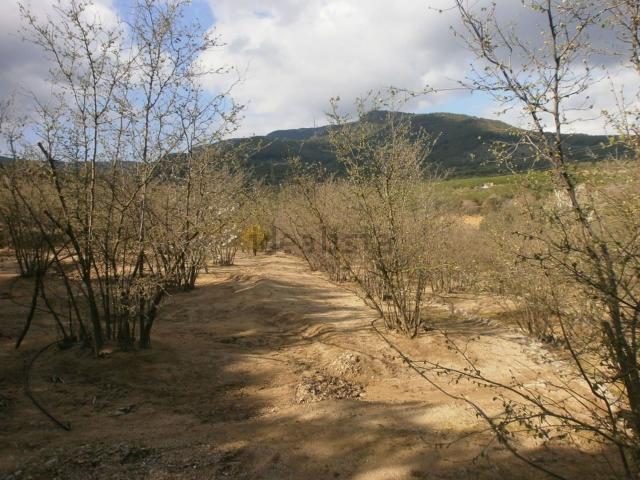 Terreno en venta en Vilaplana, Tarragona