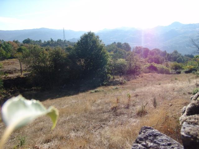 Terreno venda em Minhava, Vila Real