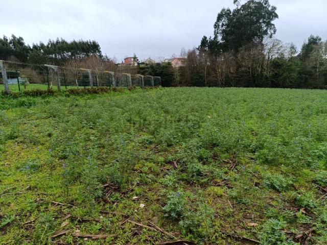Terreno en venta en Vilarmaior, A Armada