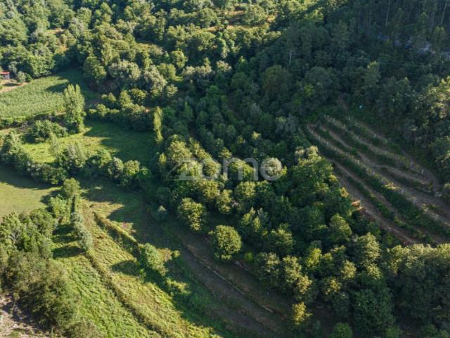 Terreno venda em Carvalho e Quintães, Amares