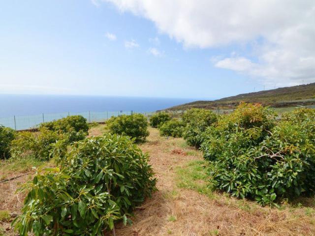 Terreno en venta en Villa de Mazo, Canarias