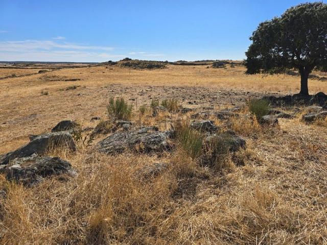 Terreno en venta en Villa Del Rey, Extremadura